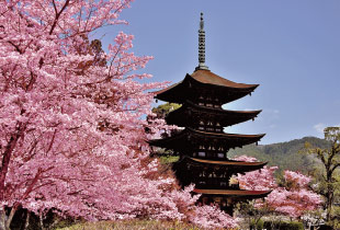 Rurikoji Temple and Five-Storied Pagoda (Registered as National Treasure)